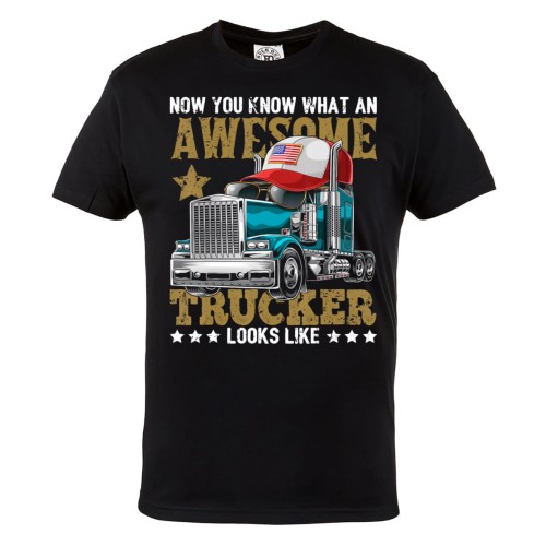 KOSZULKA DLA KIEROWCY TIRA AMERYKAŃSKA CIĘŻARÓWKA NOW YOU KNOW WHAT AN AWESOME TRUCKER LOOKS LIKE 1