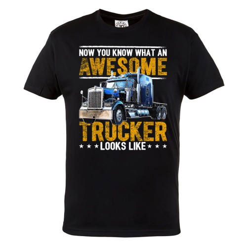 KOSZULKA DLA KIEROWCY TIRA AMERYKAŃSKA CIĘŻARÓWKA NOW YOU KNOW WHAT AN AWESOME TRUCKER LOOKS LIKE 1