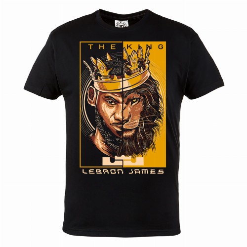 KOSZULKA KOSZYKARSKA LEBRON JAMES THE KING 21 1