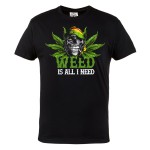 MĘSKA KOSZULKA MARIHUANA CANNABIS ZIOŁO 420 WEED IS ALL I NEED CZASZKA