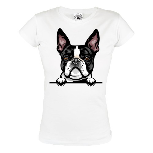 KOSZULKA DAMSKA Z PSEM DLA WIELBICIELKI PSÓW PIESEK BOSTON TERRIER 1