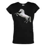 KOSZULKA DAMSKA JEŹDZIECKA Z KONIEM KOSZULKA KOŃ 04