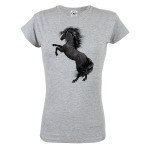 KOSZULKA DAMSKA JEŹDZIECKA Z KONIEM KOSZULKA KOŃ 08