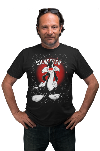 KOSZULKA BAJKOWA KRESKÓWKA LOONEY TUNES KOT SYLWESTER 5