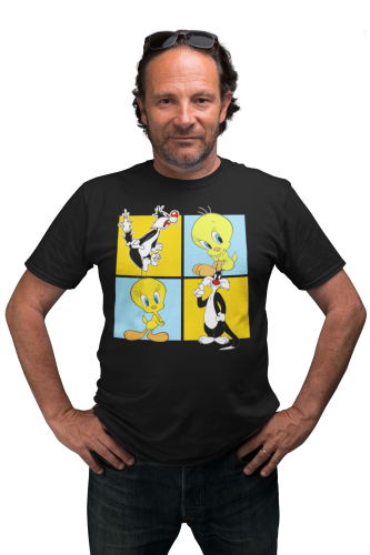 KOSZULKA BAJKOWA KRESKÓWKA LOONEY TUNES KOT SYLWESTER I TWEETY 5