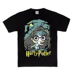 KOSZULKA DZIECIĘCA HARRY POTTER RÓŻDŻKA SOWA
